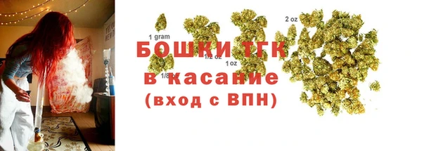 прущие грибы Алексеевка