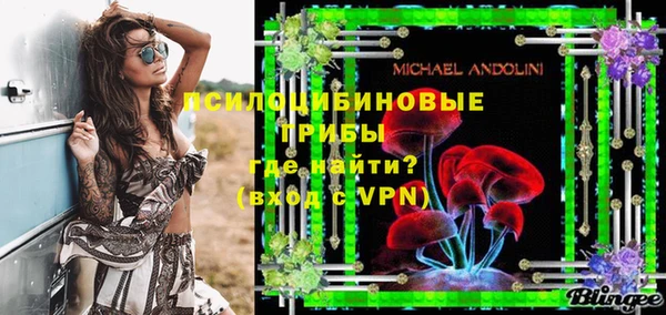 прущие грибы Алексеевка