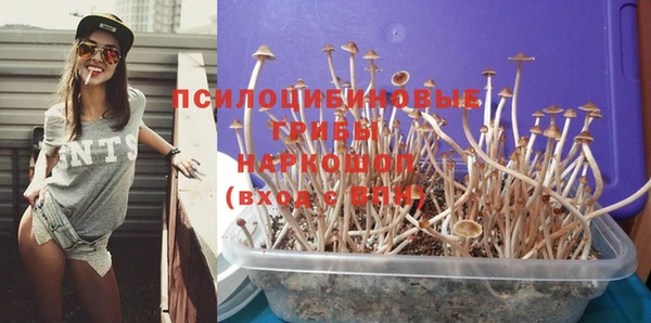 прущие грибы Алексеевка