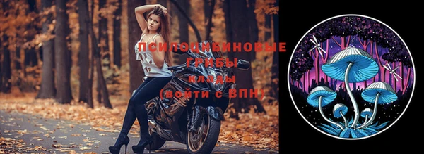 прущие грибы Алексеевка