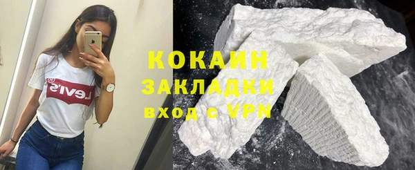 твердый Алексин
