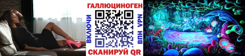 MEGA   Катав-Ивановск  Галлюциногенные грибы Psilocybe 